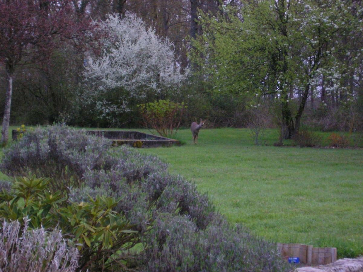 Les Sapins Vitry-aux-Loges Exterior foto